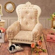 Vintage Traditional Sofa Baby Photoshoot Prop – Royal Executive Style for Adorable Baby Photography